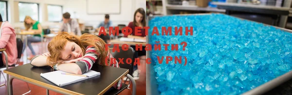 индика Абинск
