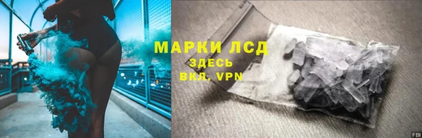индика Абинск