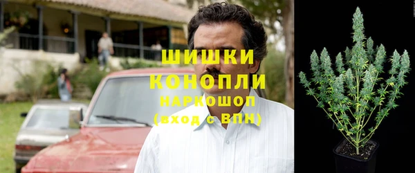 индика Абинск