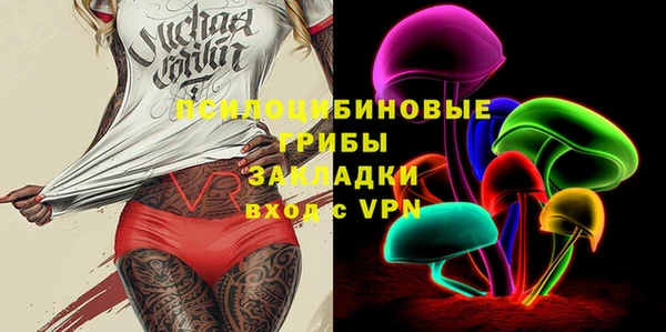 мдпв Пересвет
